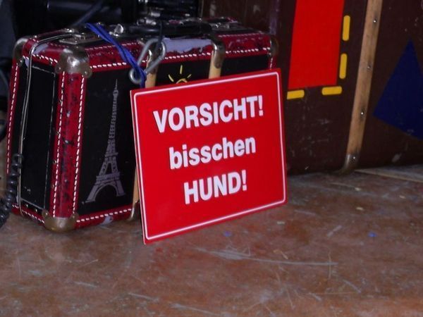 19.03.2005 - Alfredo Traber Hochseil Show in Brandenburg a.d.H. (GER)