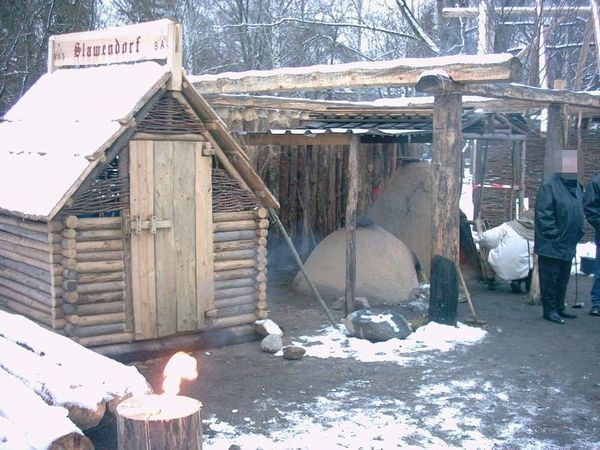 24.01.2005 - Slawendorf in Brandenburg a.d.H. (GER)